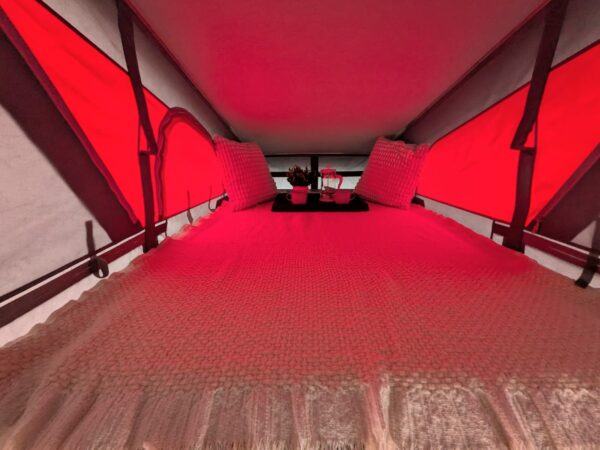 Agence de Rennes : VOLKSWAGEN TRANSPORTER T6 RIDERVAN WEEKEND – Image 5